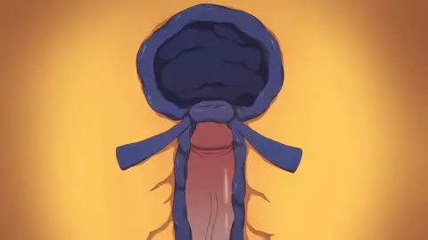 AnkhaDance